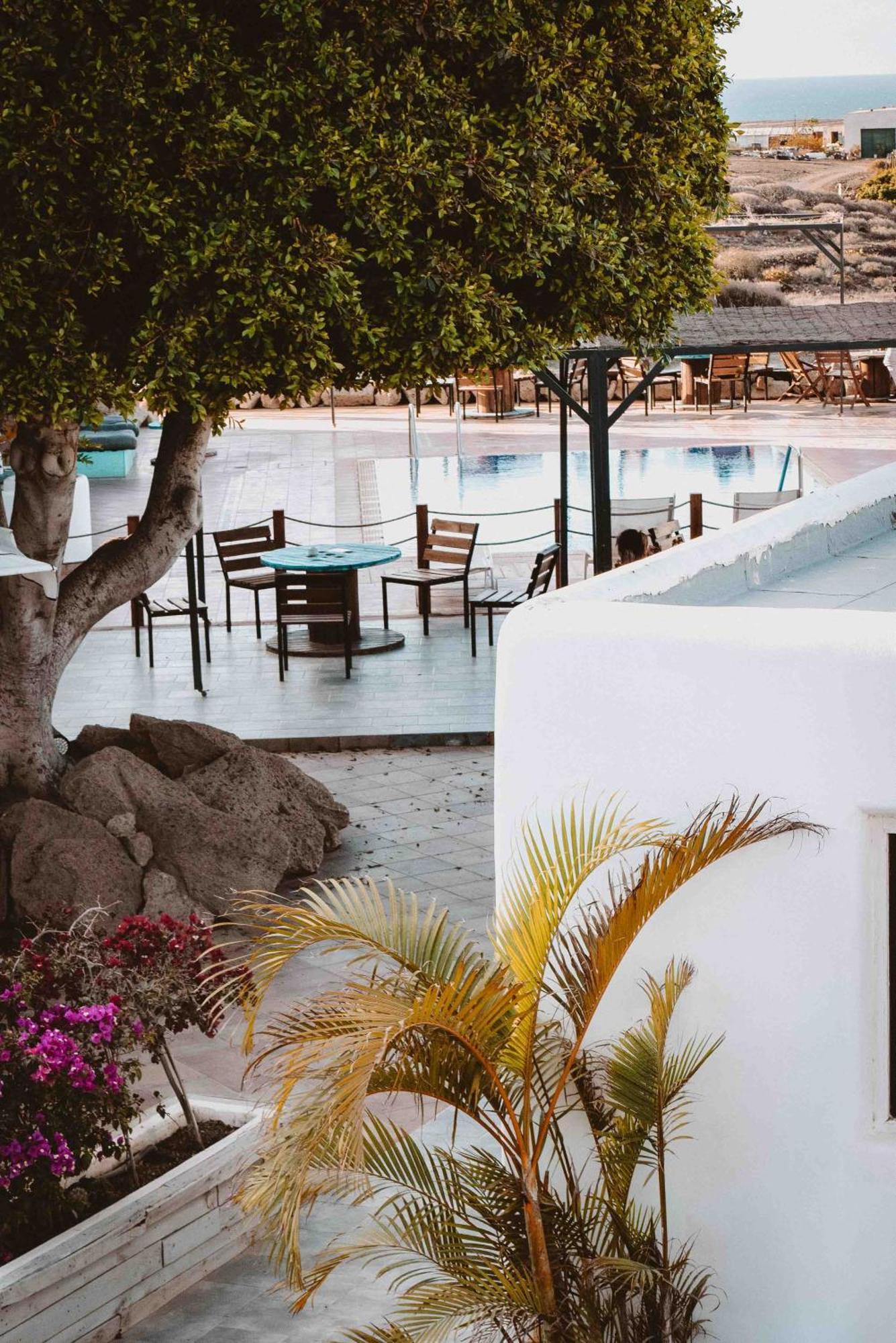 The Tree House Tenerife El Medano  Exterior photo