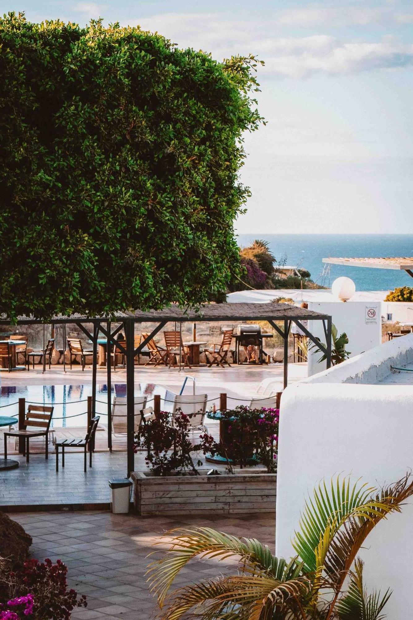 The Tree House Tenerife El Medano  Exterior photo